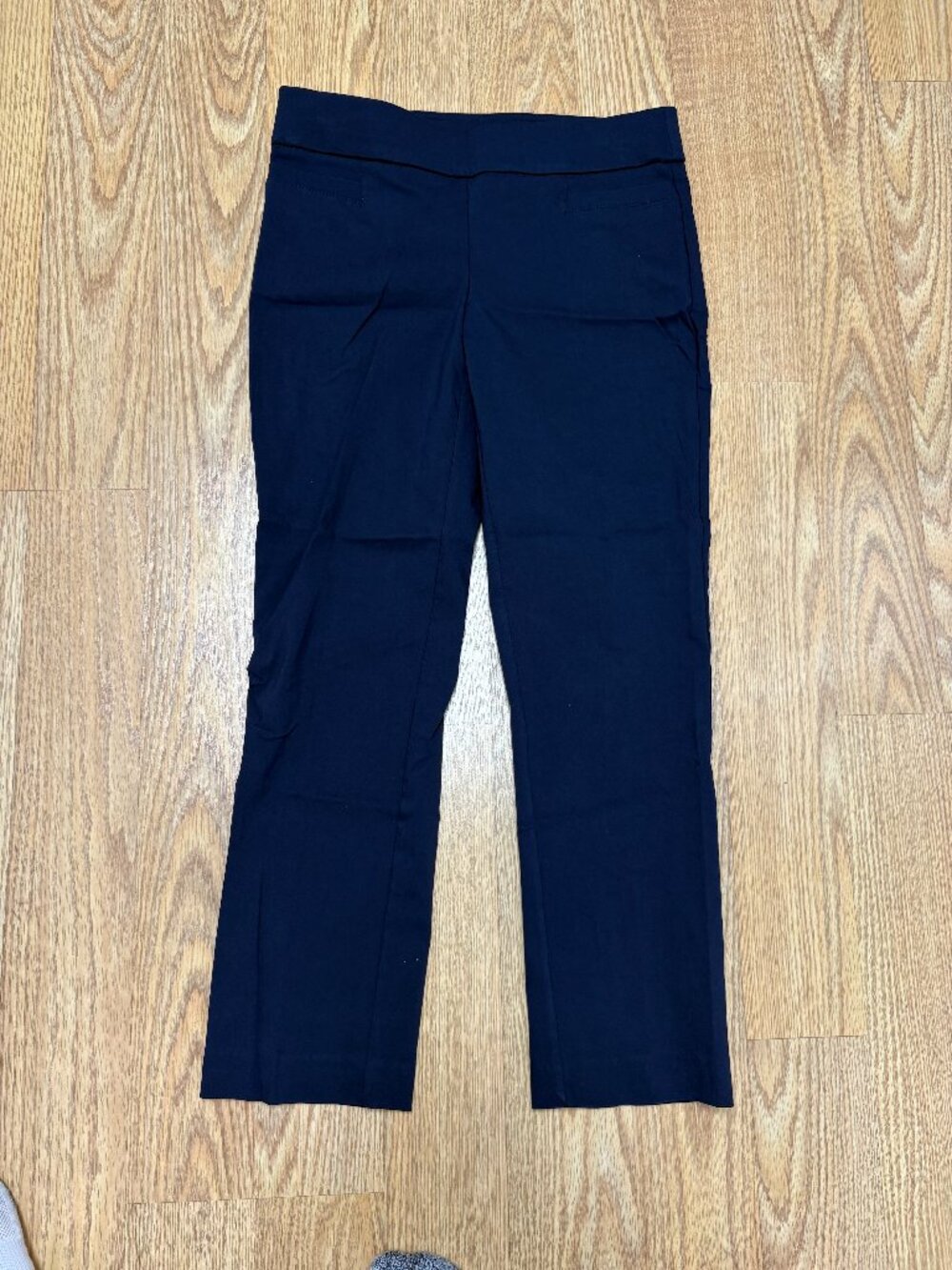 Coral Bay Petite Slimming Tummy Panel Women's Pants Size 4PS Navy